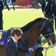 JRA「暴れ馬」カテドラルの真価は!? 京成杯(G3)中山コースなら問題なし?