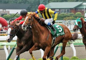 【重賞展望】負けたら土下座!? 野望に燃える「競馬界の半沢直樹」ことバイガエシが大混戦の函館記念（G3）に殴り込み！今年も10万馬券超えは必至か！