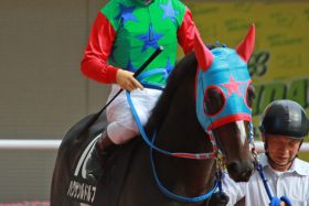 エプソムC（G3）強気の「2点」勝負！ ダイワキャグニー無視……「極秘ネタ」から「好配当」狙い!!