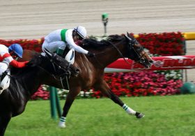 JRA 乗り替わりに不安の声も!? 浜中俊騎手、あの名馬の全弟で輝きを取り戻せるか