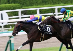 武豊エアウィンザー「兄エアスピネルと同じ」ベスト尽くしての完敗……歯がゆいレースは一族の宿命？