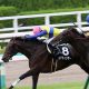 武豊「名古屋大賞典完勝」40代締めくくり! 50歳になっても「ユタカ伝説」は続く!