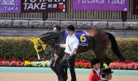 秋華賞（G1）「陣営マル秘情報」で大万馬券を狙え！ モズカッチャンの”影”に「超高配当の使者」が!!