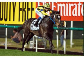 阪急杯（G3）はミッキーラブソングで”男泣き”！　名伯楽・橋口弘調教師の集大成に「奇跡」は起こるか!?