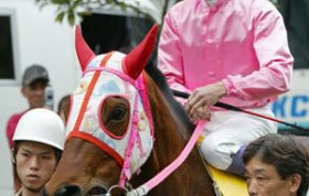 高知競馬10年間で「売上10倍」の快挙！ かつてハルウララ騎乗の武豊騎手が「悲惨」と憂いた競馬場が「時代の風」に乗る