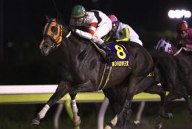 G1競走10勝ホッコータルマエが今年いっぱいで引退！ 「秋ダート王道路線」で最後の意地を見せられるか!?