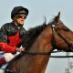 JRA「海外招待馬」急増のワケ……裏には日本競馬ファンの財布を狙う現地主催者のしたたかな野望