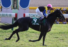 【徹底考察】NHKマイルC（G1）　イモータル「皐月賞馬ディーマジェスティに迫った実力は『本物』か否か」