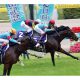 【エプソムC(G3)展望】JRA「実績馬」多数の混戦! 武豊ソウルスターリング復活にも注目