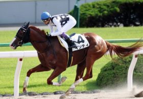 フェブラリーS（G1）は武豊インティ「三連単3点」勝負！ 有力情報が導いた「伏兵」も発見!!