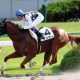 JRAフェブラリーS(G1)武豊より藤田菜七子よりアイツ!? 競馬女王桃井はるこの「平成最後のダート王」見立て