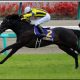 安田記念(G1)ロゴタイプ絶好調も「神通力」見込めず? 昨年「的中サイン」が示す東京マイルで大仕事をする血筋の「大穴馬」に激走フラグ!?
