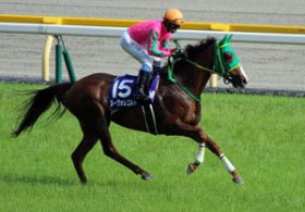 岩田康誠騎手の「不遇」を支えた牝馬ヌーヴォレコルト引退。牡馬相手とも互角に戦った血は、次代へ
