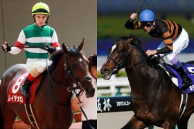 ジャパンC（G1）で武豊とルメールが「前でバチバチ」！ 最高枠をゲットした2頭の思惑は
