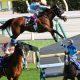 JRA「馬主の執念」ニシノデイジーに「血のドラマあり」クラシックに向けて勝浦正樹騎手も饒舌に