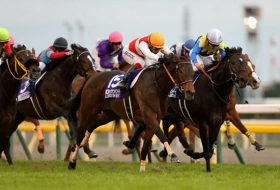 武豊キタサンブラック「吉兆」の枠へ!? ジャパンC（G1）枠順