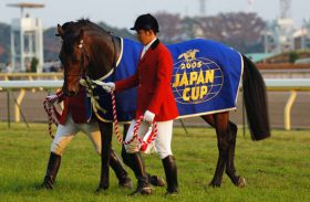 ジャパンカップの思い出～史上初の連覇を達成、歴史に残る名牝ジェンティルドンナ～