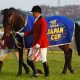 JRA「3歳最強へ」オメガパフュームが古馬と激突! ルヴァンスレーヴ再戦まで負けられない