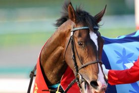 大穴は北島三郎？注目重賞の穴馬データを公開！～阪神ジュベナイルフィリーズ・チャレンジカップ・カペラステークス～