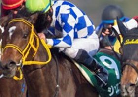 【桜花賞（G1）回顧】M・デムーロ騎手歓喜の雄たけび！ 大本命メジャーエンブレム敗北