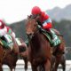 福永騎手が落馬したスズカメジャーが仕切り直しの一戦へ!衝撃のスタート直後に「Uターン」から1カ月……今度こそ能力全開か