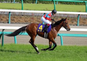 カデナの日本ダービー制覇にはスローペースがほぼ「必須条件」？世代トップクラスの優等生が皐月賞惨敗で露呈した「課題と限界」