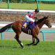 日本ダービー(G1)過去10年で「馬券率8割」と驚異的な実績を残す「無双の法則」は今年も健在!? 楽して勝ちたい人はコレに乗れ!