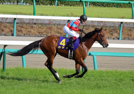 JRA「宝塚記念の法則」にラッキーライラックが、クロノジェネシスが絶体絶命!? 15年連続「連対」継続中……今年「大穴」を開けるのは、この3頭？の画像2