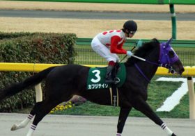 フェブラリーS（G1）制覇に向けカフジテイクが「伝説級」の豪脚に磨き！悲願の頂点獲りに福永祐一騎手が残して行った「ツケ」とは