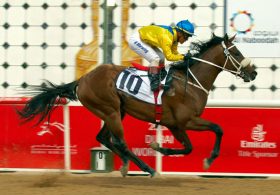 JRA「海外招待馬」急増のワケ……裏には日本競馬ファンの財布を狙う現地主催者のしたたかな野望