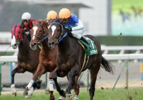 シンザン記念、フェアリーSのお年玉馬はコレ！注目の穴馬がズラリ出走！重賞穴馬データ公開中