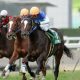 京成杯（G3）は大混戦！ クラシックに駒を進める上で、鍵は出走しないレイデオロ？