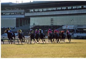 皐月賞（G1）2年連続で騎乗停止のM・デムーロ騎手。本当に「ゴメンナサイ」したい相手は……