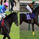 C・ルメール騎手「桜花賞(G1)は勝てる」大本命・メジャーエンブレムの実力と「伝説」