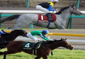 【徹底考察】皐月賞（G1）ディーマジェスティ＆マウントロブソン　「三強の一角崩しへーー実力馬、侮ることなかれ」