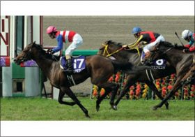 【馬券の狙い目】東京競馬場で注目されるのは「馬主」その狙い方とは？