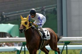 馬券に直結する夏男は誰だ！ この夏絶好調のお祭りジョッキーは武豊？それともやっぱりあの男？