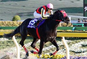 エピカリスは歴史的ダート馬になれるか？　歴代のダート王と比較したら驚きの事実が判明