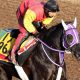 【中山記念(G2)展望】春G1制覇を睨むリアルスティールとアンビシャスに、秋華賞馬ヴィブロスが挑む「超豪華メンバー」で春競馬が開幕!