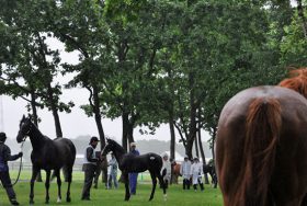 JRA社台グループにダブルショック!?　「1200万円」デアリングタクト桜花賞優勝で失ったものと、繰り返されたジャングルポケットの二の舞