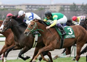 武豊と武幸四郎で一攫千金を狙え！ 中山記念・アーリントンカップ・阪急杯の重賞穴馬データを公開中！