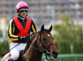 重賞穴馬データ～セントライト記念・ローズS～