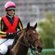 ジャパンカップの思い出~史上初の連覇を達成、歴史に残る名牝ジェンティルドンナ~