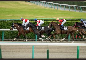今週開幕の函館競馬は「適性」が必要不可欠！伝説のエリモハリアー以上の「函館の鬼」で日曜高配当を狙い撃て！