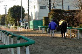 JRA角居勝彦師「情報漏れ」で引退が露見!? 本来ならば「事前準備」をして……