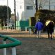 JRAリスグラシュー「豪超高額G1参戦」決定! 矢作師「挑戦理由」語る