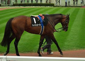 大阪杯G1昇格に伴いボーナス最大2億円の「春古馬三冠」が新設。現時点で三冠達成の可能性があるのは「あのスターホース」だけ？