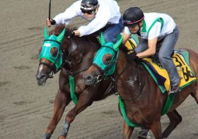 新旧ステイヤー入り乱れる混戦模様！ ステイヤーズS（G2）注目馬を紹介