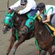 「藤田菜七子フィーバー」は何故消えたのか?JRAが日本競馬の未来のために変わらなければならない藤田菜七子という「機会」~2016年競馬界プレイバック1~