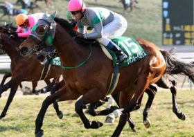 東京新聞杯・武豊エアスピネル、きさらぎ賞川田将雅サトノアーサーを脅かす注目の穴馬はこいつだ！必見の重賞穴馬データ